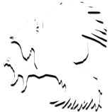 Sabung Ayam